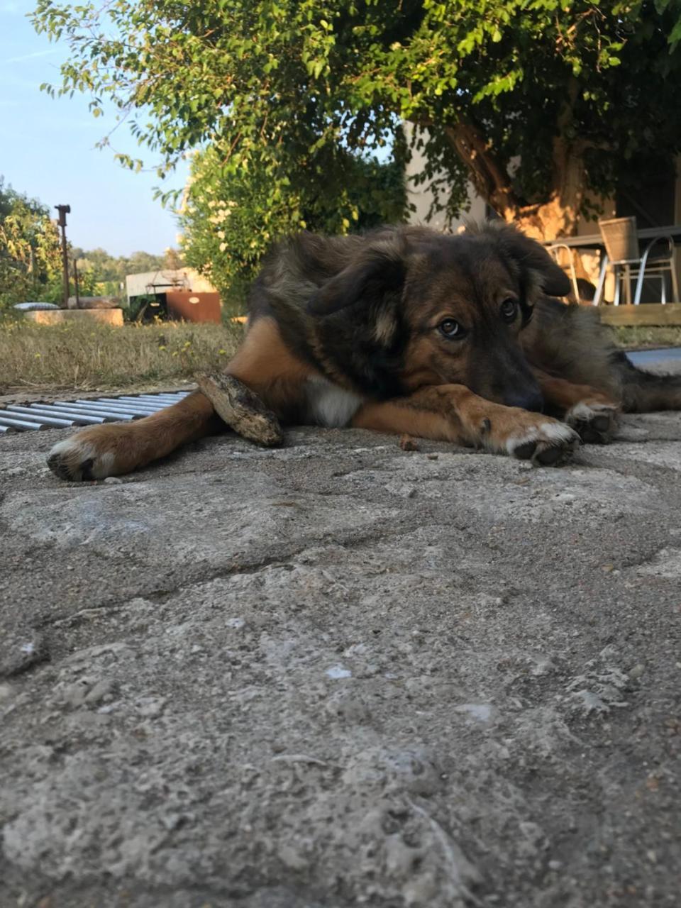A Loghja Di Cavallo Morto Bonifacio  Dış mekan fotoğraf
