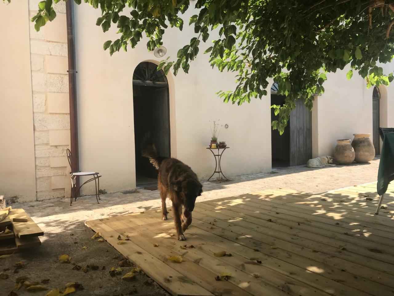 A Loghja Di Cavallo Morto Bonifacio  Dış mekan fotoğraf